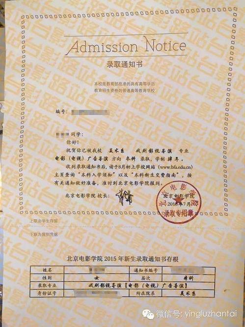 录取通知电影,梦想启航的青春篇章  第2张