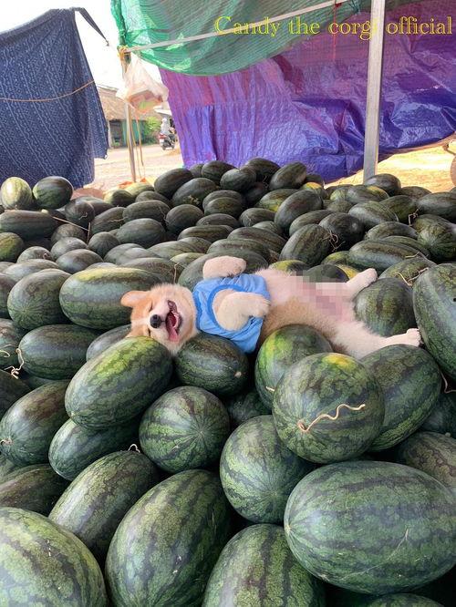 今天吃瓜,盘点娱乐圈新鲜事  第3张